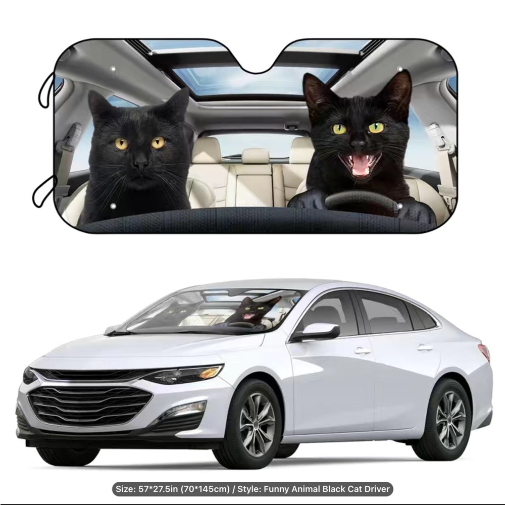 Front car window sun shade.